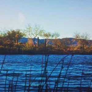 Meet your Posher, Sunny